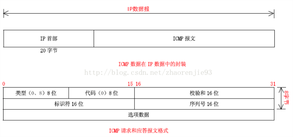 ICMP报文格式